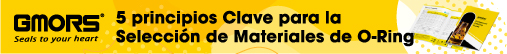 5 principios Clave para la Selección de Materiales de O-Ring: Una Guía Esencial de Selección 5 principios Clave para la Selección de Materiales de O-Ring: Una Guía Esencial de Selección